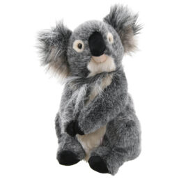 Daphne Driver Headcover Koala
