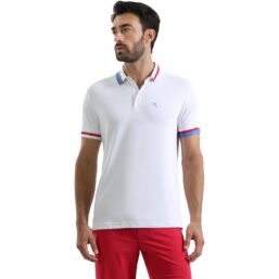 Chervo Polo Allarme