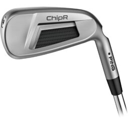 Ping ChipR