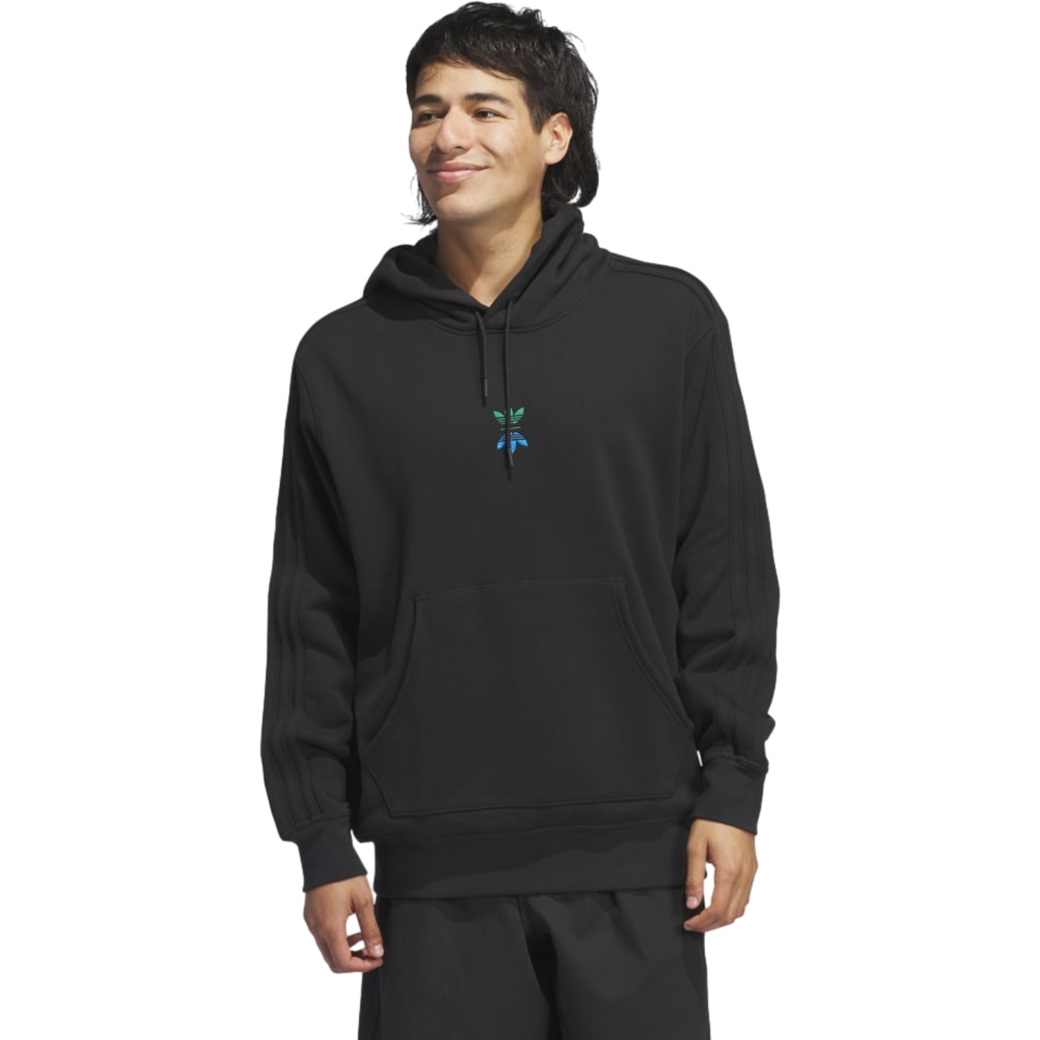 adidas Hoodie Skate RLN LNKS, schwarz